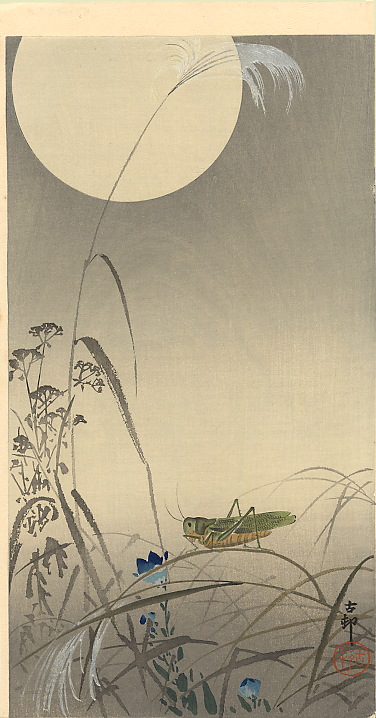 grasshoper-and-fool-moon