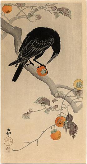 crow-eating-a-persimmon-jpgpinterestlarge