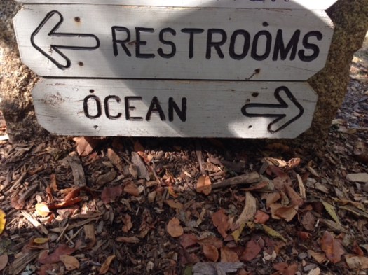 1860176c-4535-4446-a5ad-4db24e68c83d