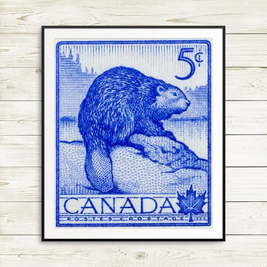 beaver stamp.jpg