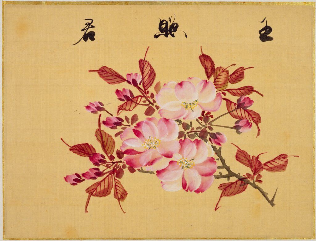 sakamoto konen cherries.jpg