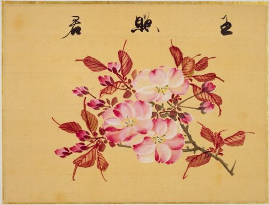 sakamoto konen cherries.jpg